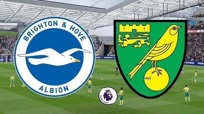 Soi kèo nhà cái Brighton & Hove Albion vs Norwich City, 2/11/2019 - Ngoại Hạng Anh