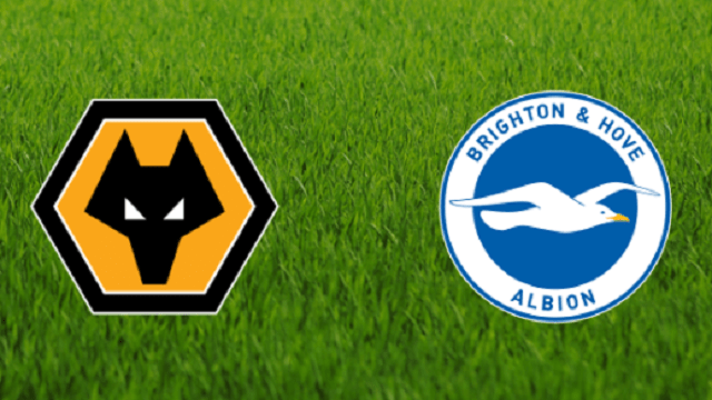 Soi kèo nhà cái Wolverhampton vs Brighton & Hove, 7/3/2020 - Ngoại Hạng Anh