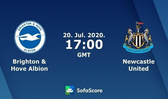 Soi keo nha cai Brighton vs Newcastle United, 21/7/2020 – Ngoai hang Anh