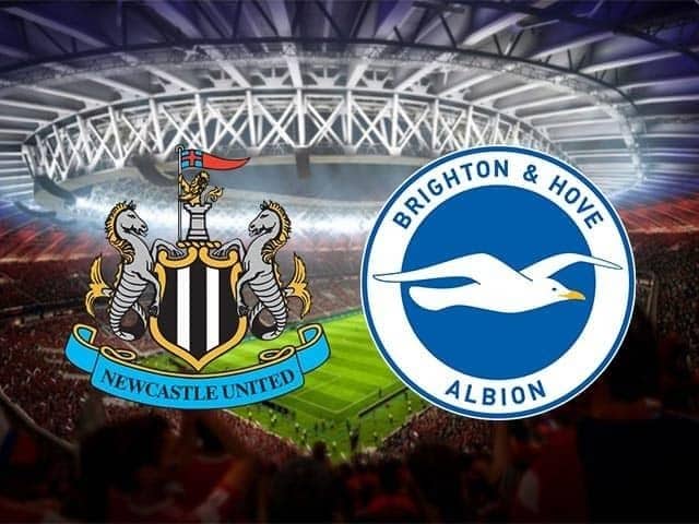 Soi keo nha cai Newcastle vs Brighton, 20/09/2020 - Ngoai Hang Anh
