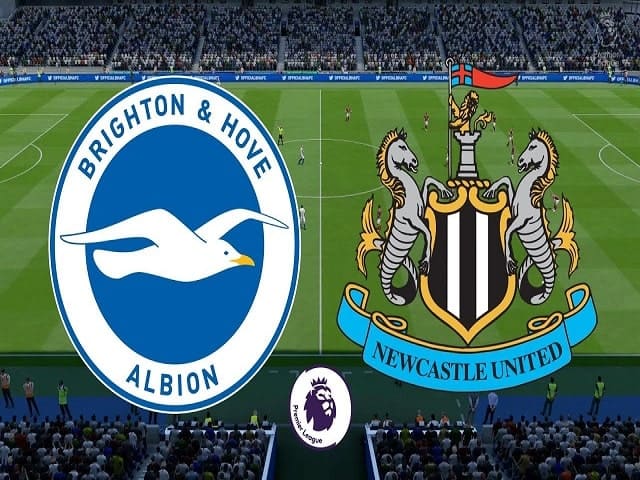 Soi keo nha cai Brighton vs Newcastle United, 21/03/2021 - Giai Ngoai hang Anh